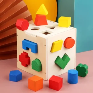 Montessori Wooden Geometric Shapes 3D Puzzle Box